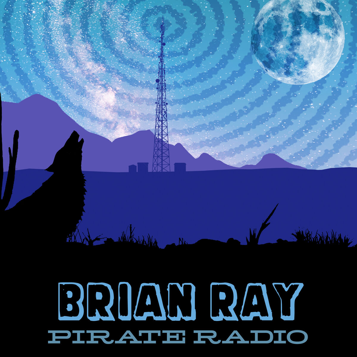 Album cover of Pirate Radio