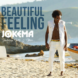 Cover of Beautiful Feeling