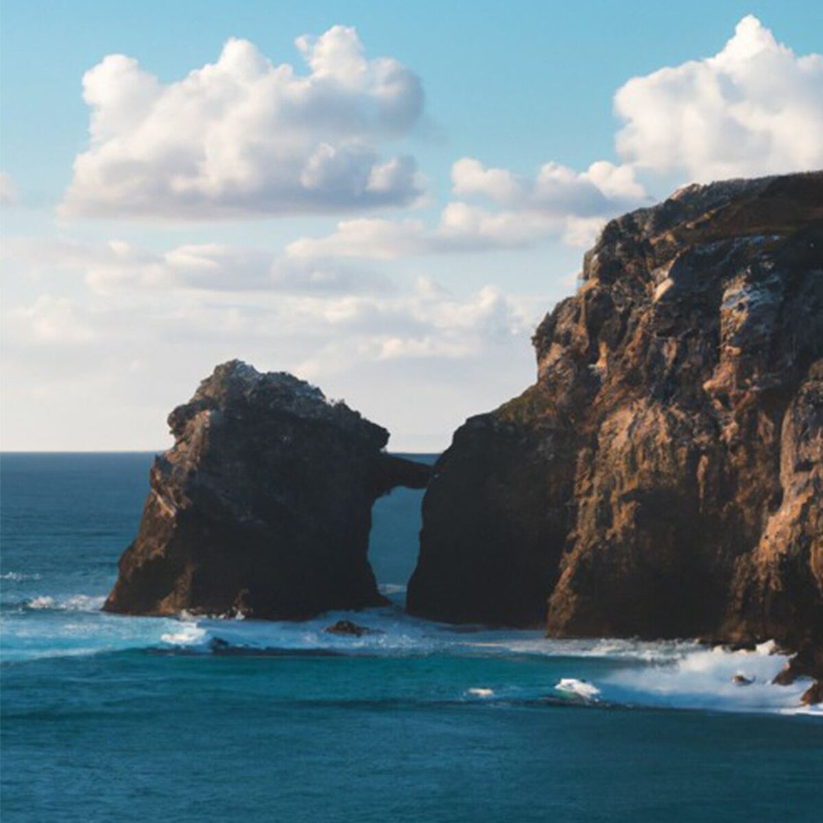 Album cover of Pacifica