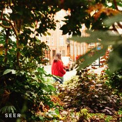 Cover of Seer