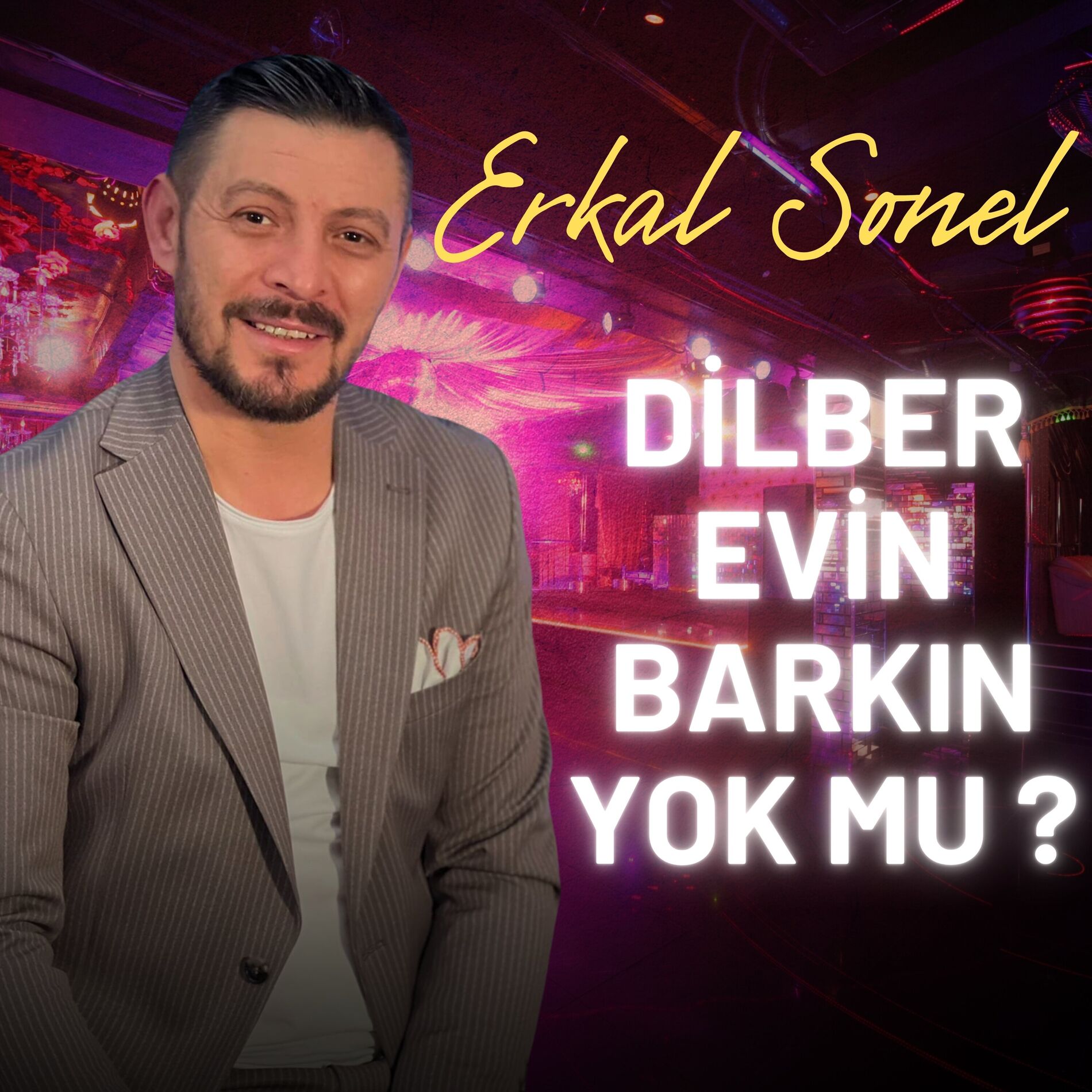Album cover of Dilber Evin Barkın Yok Mu ?