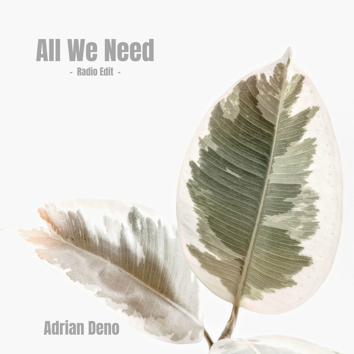 Album cover of All We Need (Radio Edit)