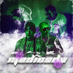 Cover of Medicado