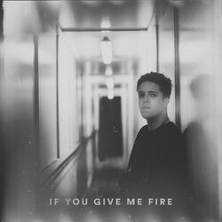Cover of If You Give Me Fire