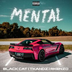 Cover of Mental (feat. Tkandz) [Rkenzo Remix]