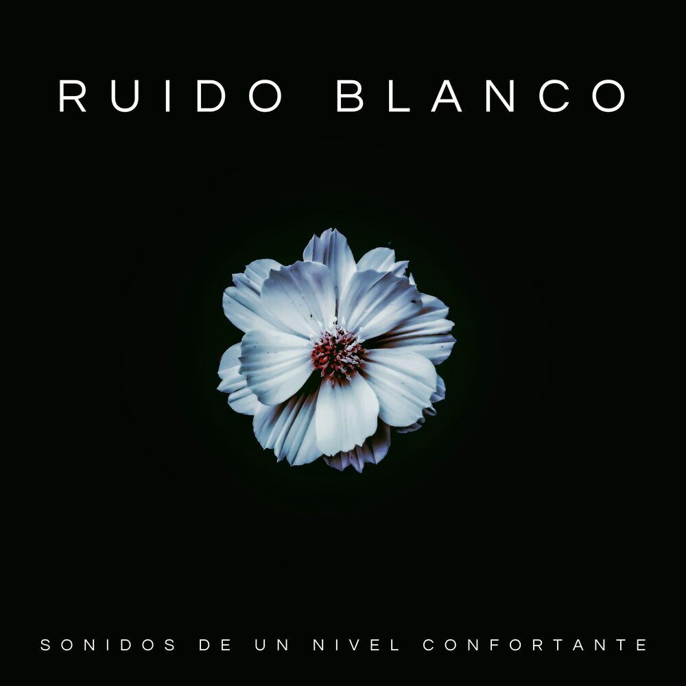 Picture of Ruido Blanco: Sonidos De Un Nivel Confortante