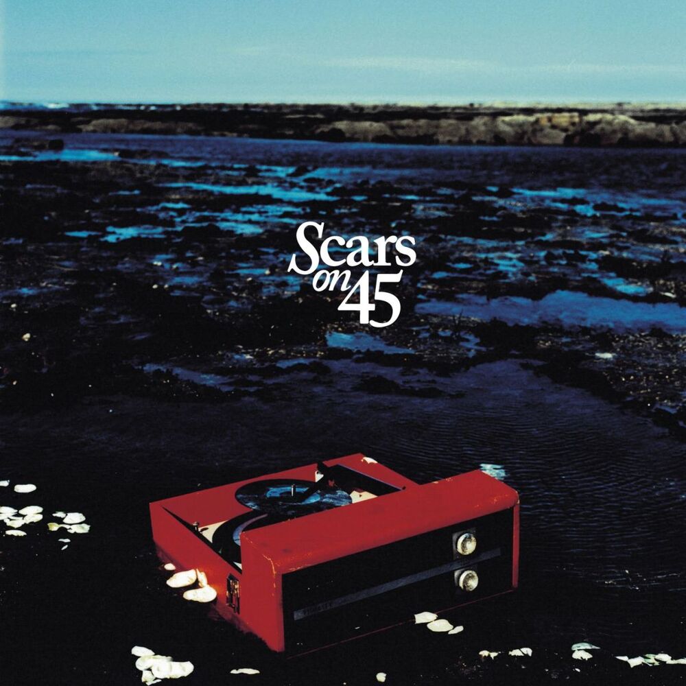 Picture of Scars on 45