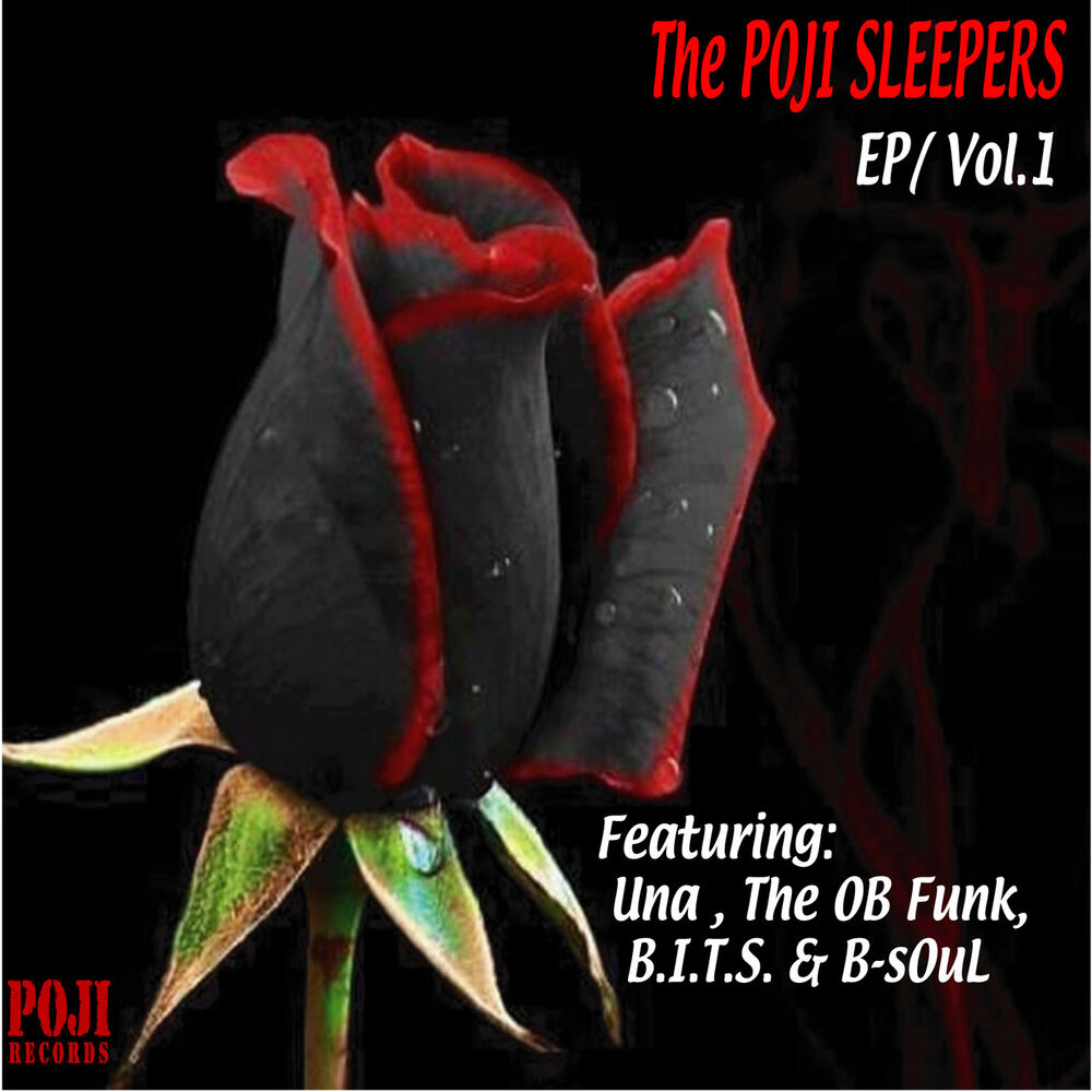Picture of POJI Sleepers Vol. 1