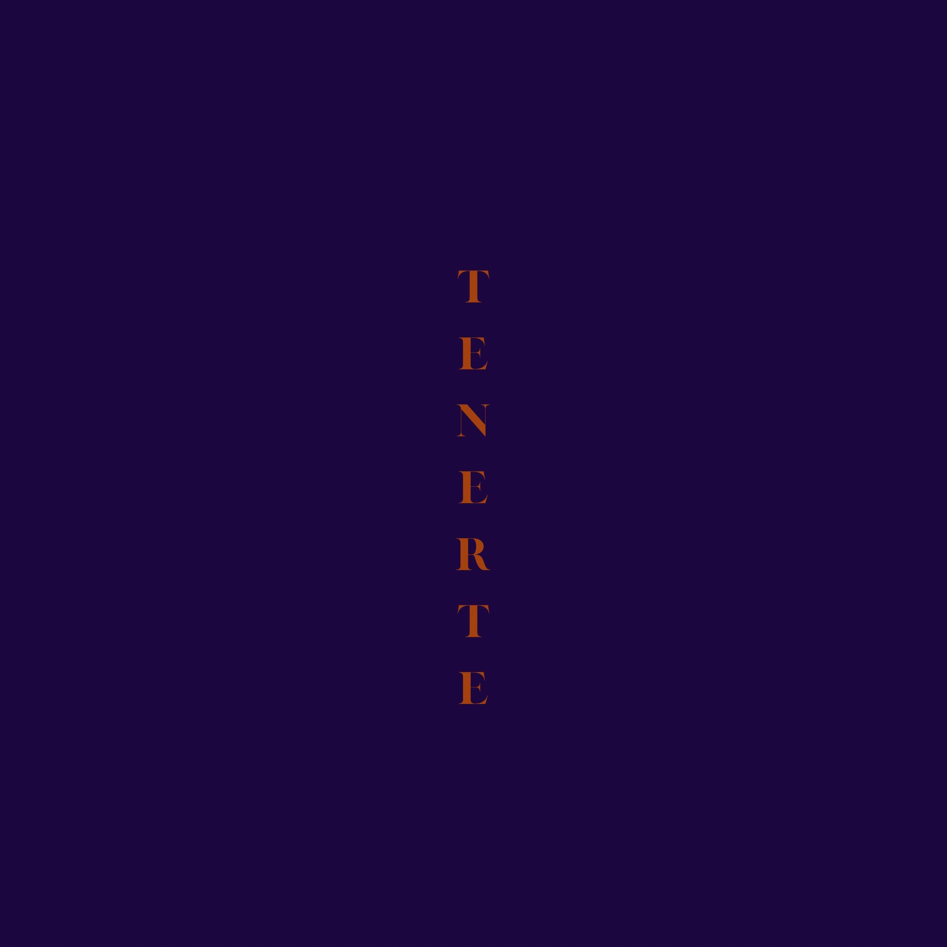 Album cover of Tenerte
