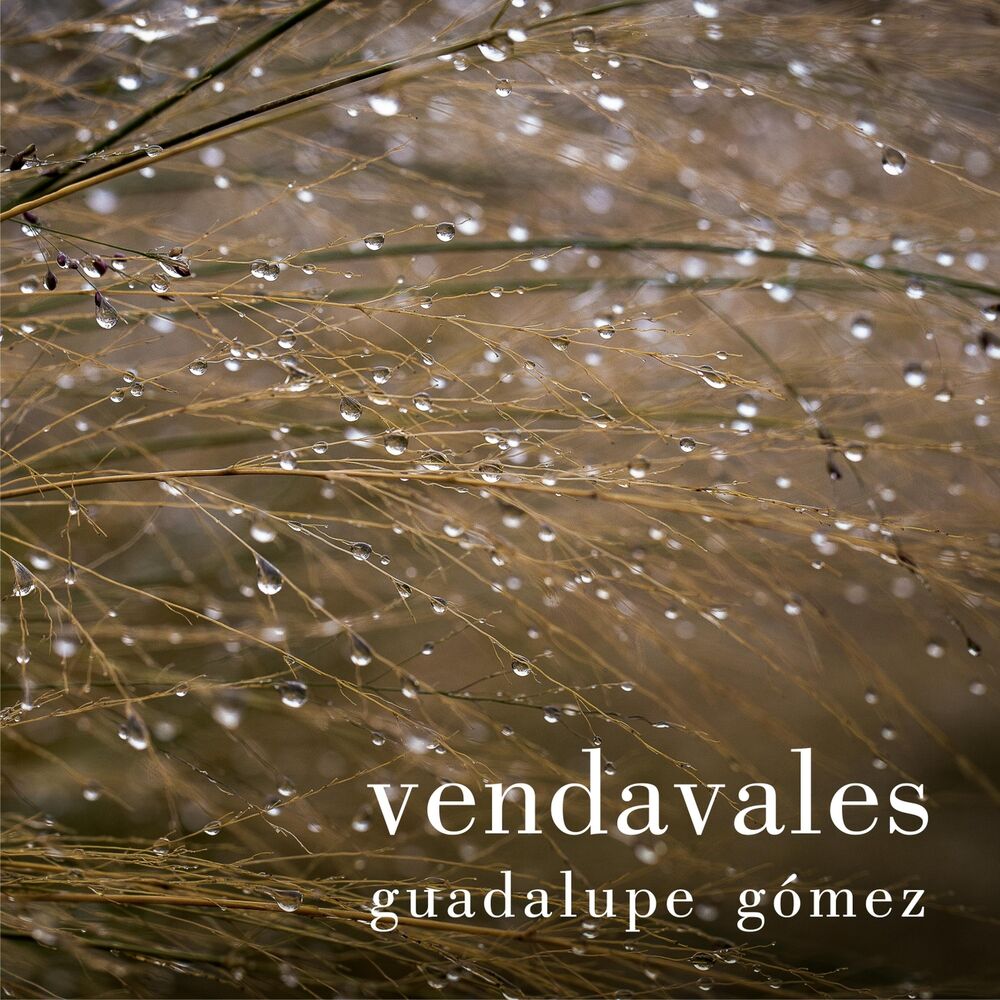 Picture of Vendavales