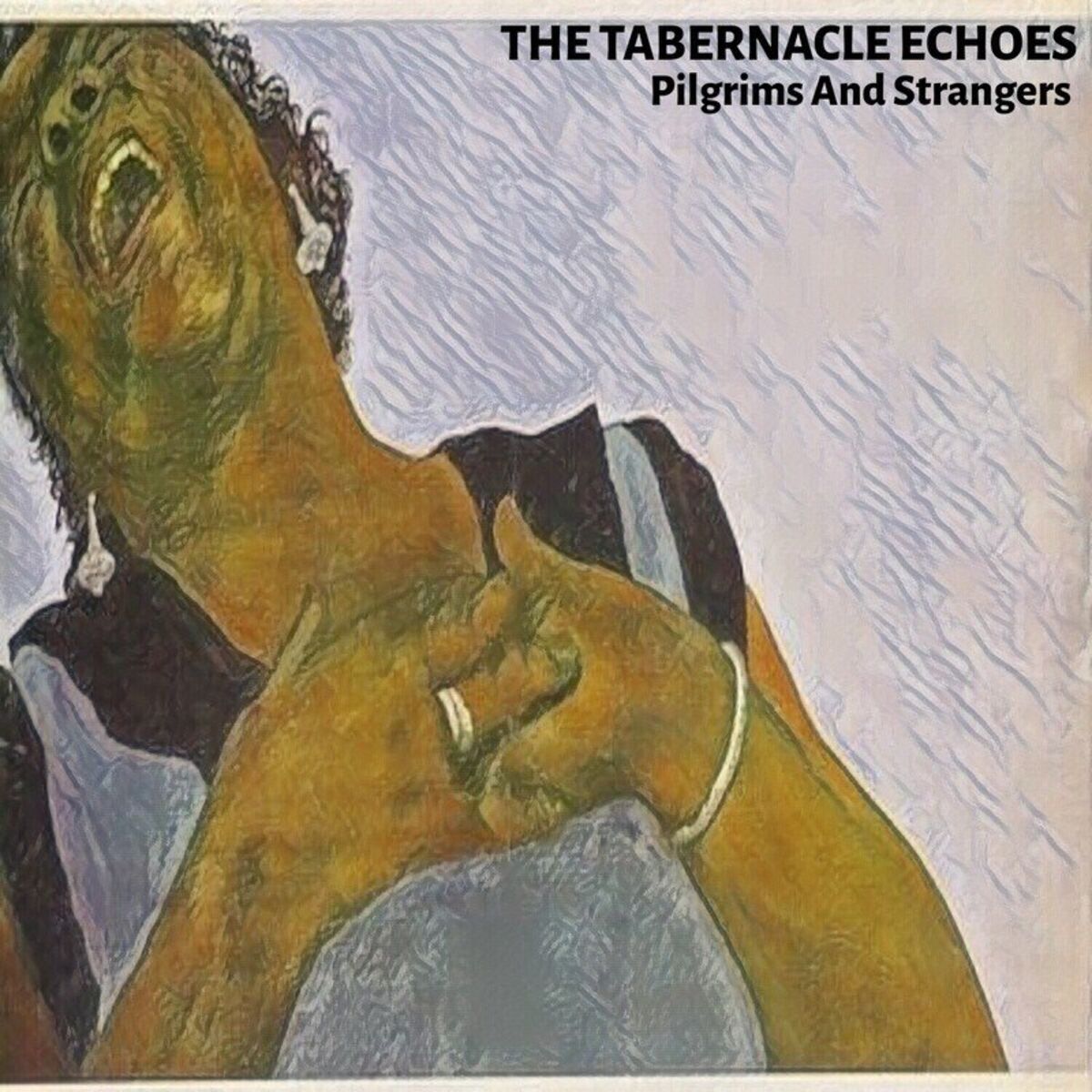 Album cover of Pilgrims And Strangers