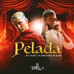 Cover of Pelada