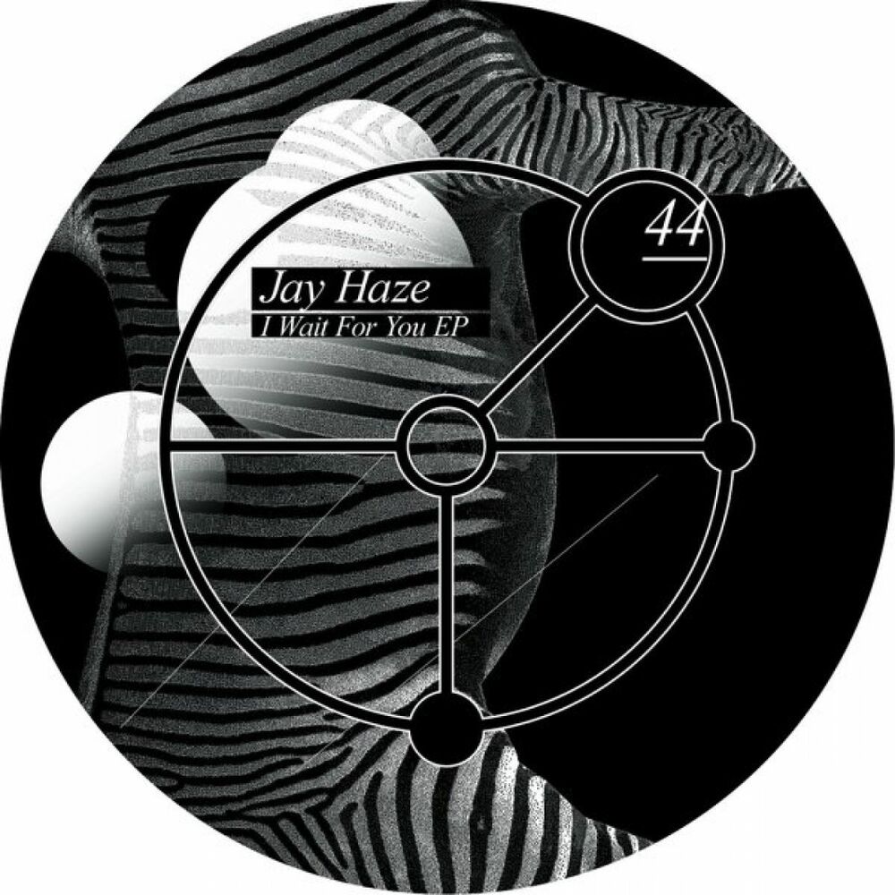 Picture of I Wait For You (feat. Laila Tov, Ricardo Villalobos)