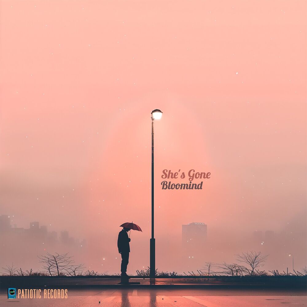 Picture of She's Gone