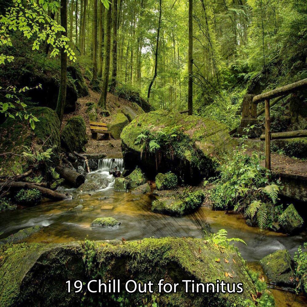 Picture of 19 Chill Out for Tinnitus