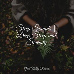 Cover of Sleep Sounds | Deep Sleep and Serenity
