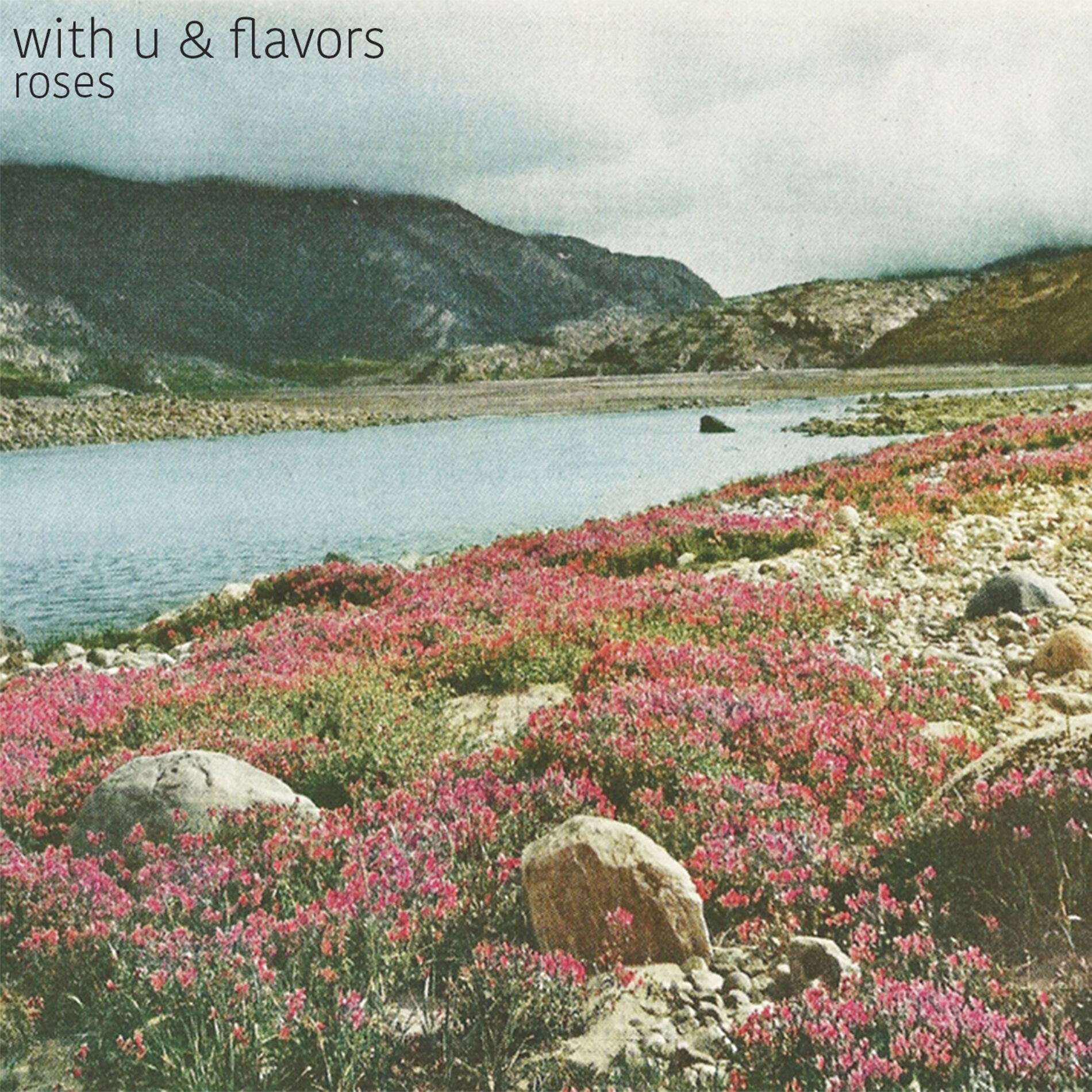 Album cover of roses [beat tape]
