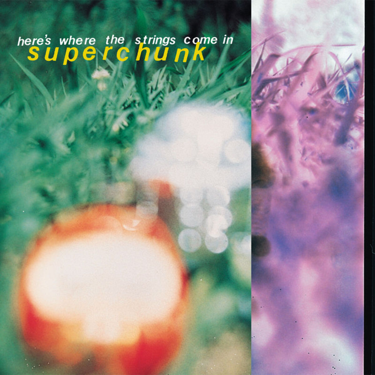 Album cover of Here's Where the Strings Come In (Remastered)