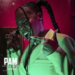 Cover of PAM