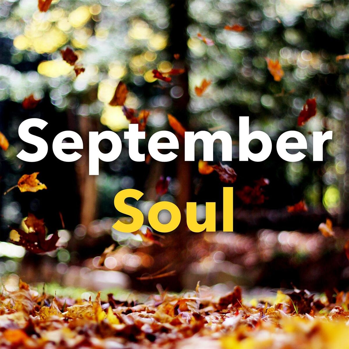 Album cover of September Soul