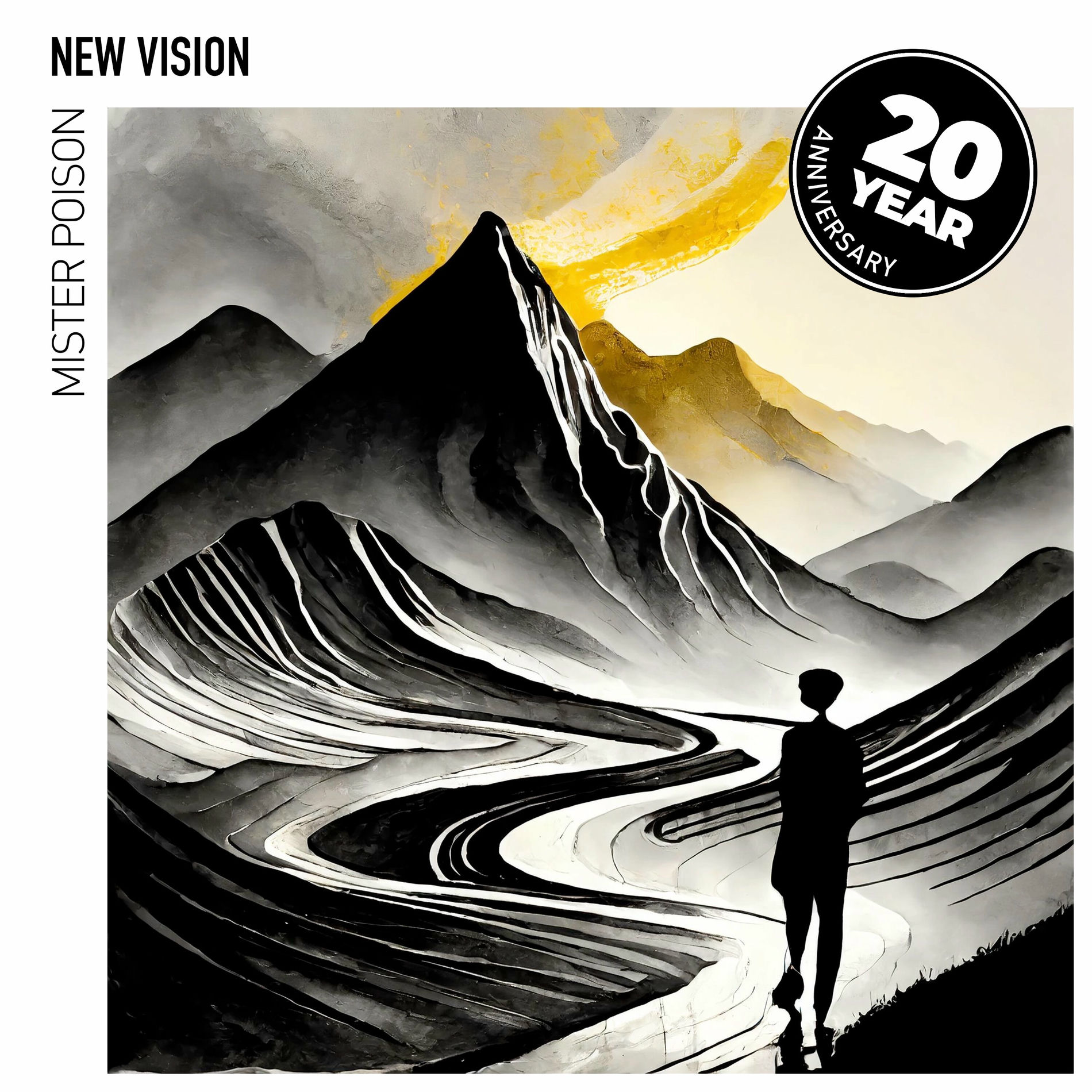 Album cover of New Vision (20th Anniversary Edition)