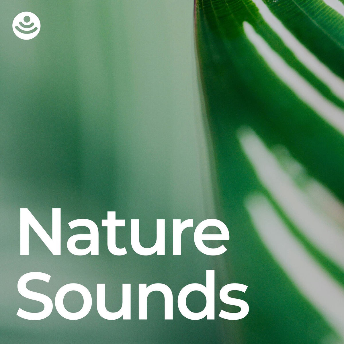 Album cover of Best of Nature Sounds