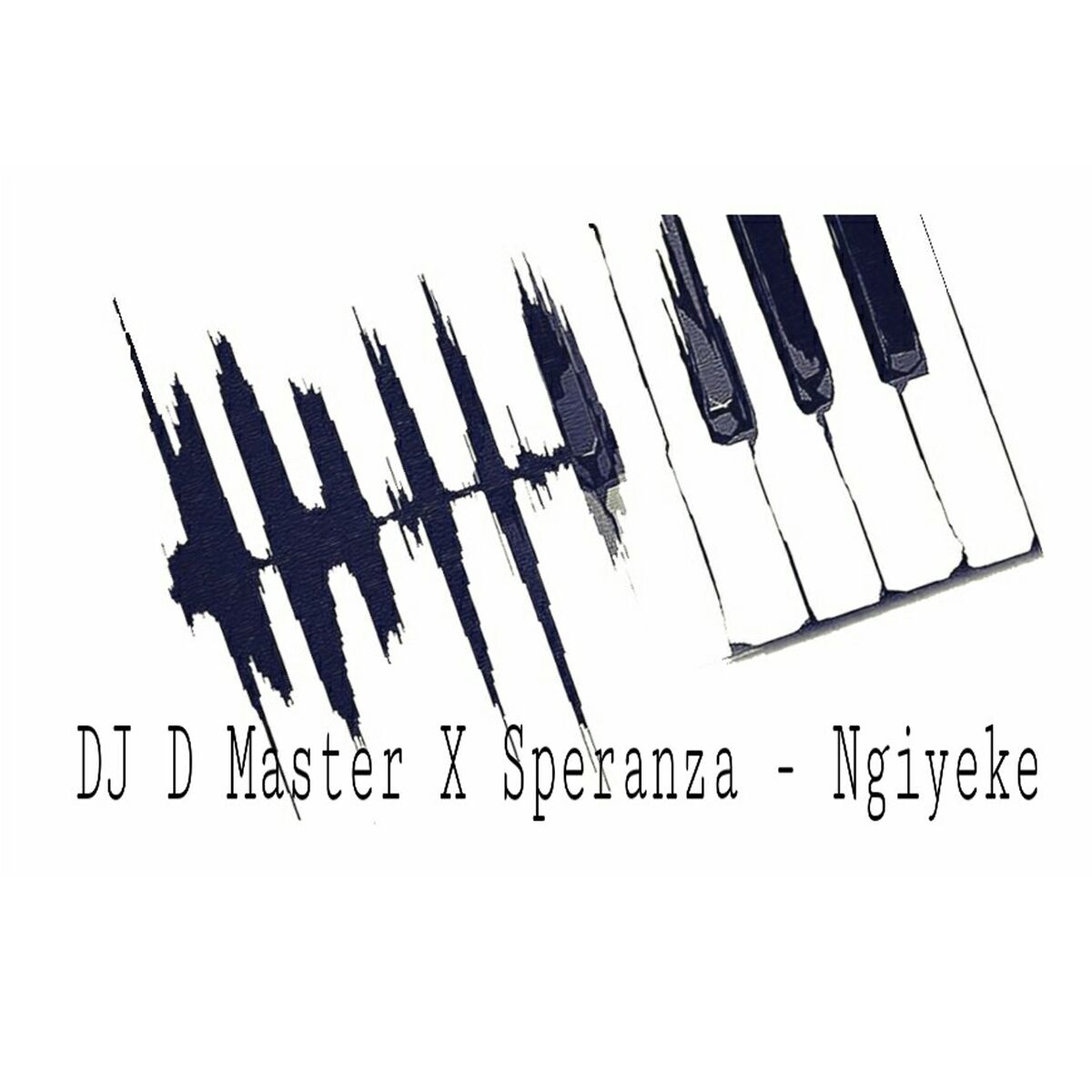 Album cover of Ndiyeke