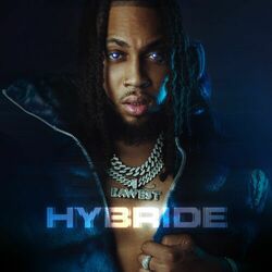Cover of Hybride