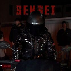 Cover of SENSEI