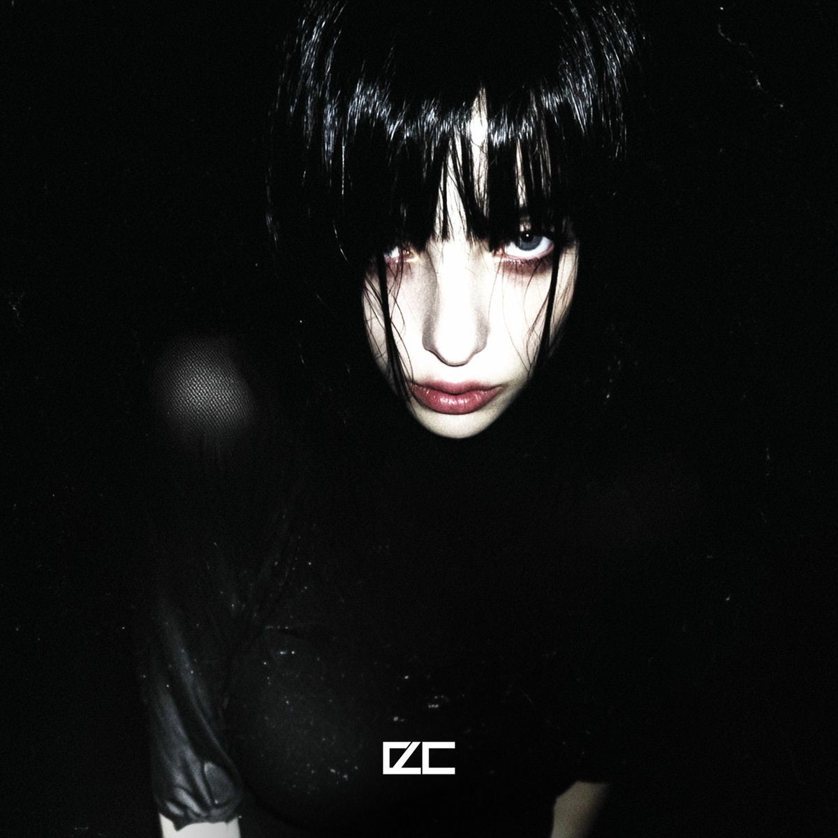 the HARREM Q/opiumアルバム ZIGZO Rayflower the HARREM Q/opiumアルバム ZIGZO Rayflower the HAREM Q
