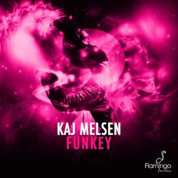 Cover of Funkey