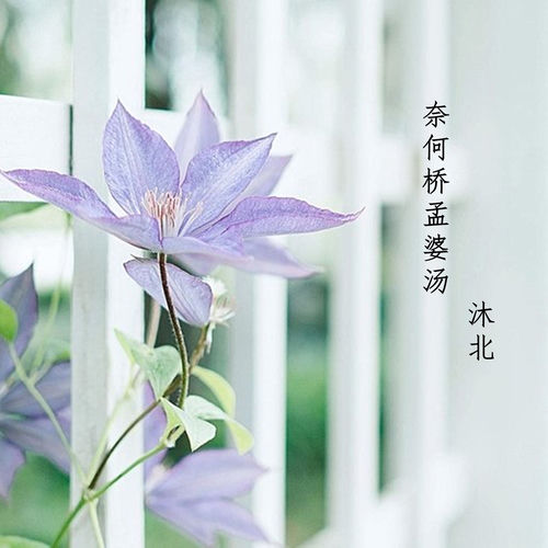 奈何桥孟婆汤