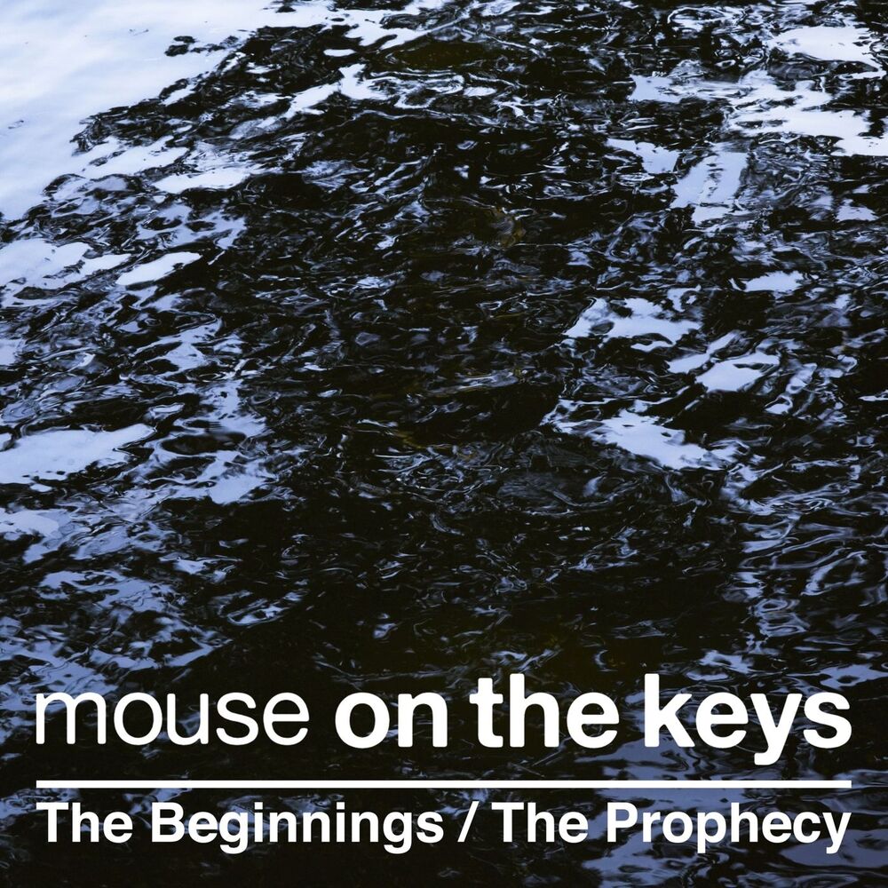 Picture of The Beginnings / The Prophecy