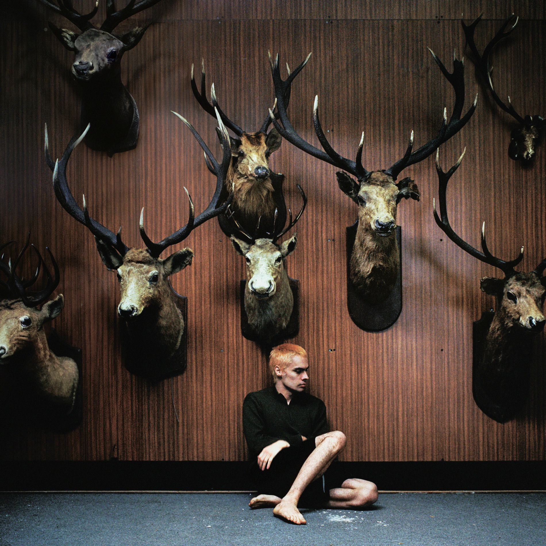 Album cover of Deer Teeth