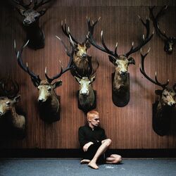 Cover of Deer Teeth