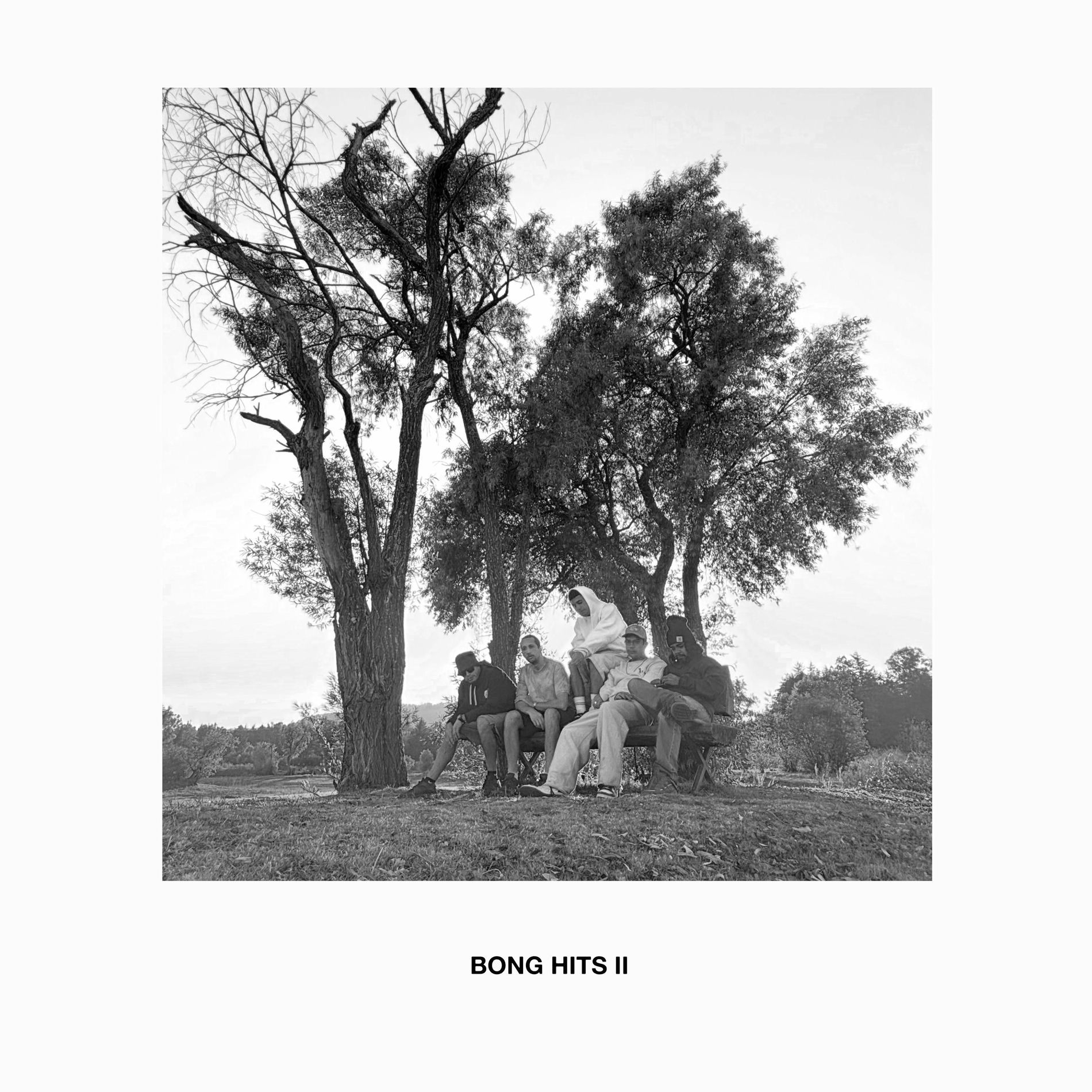 Album cover of Bong Hits II