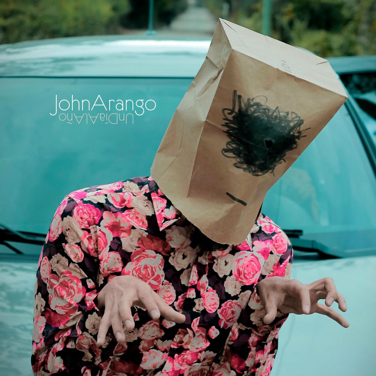 Album cover of Un Día al Año