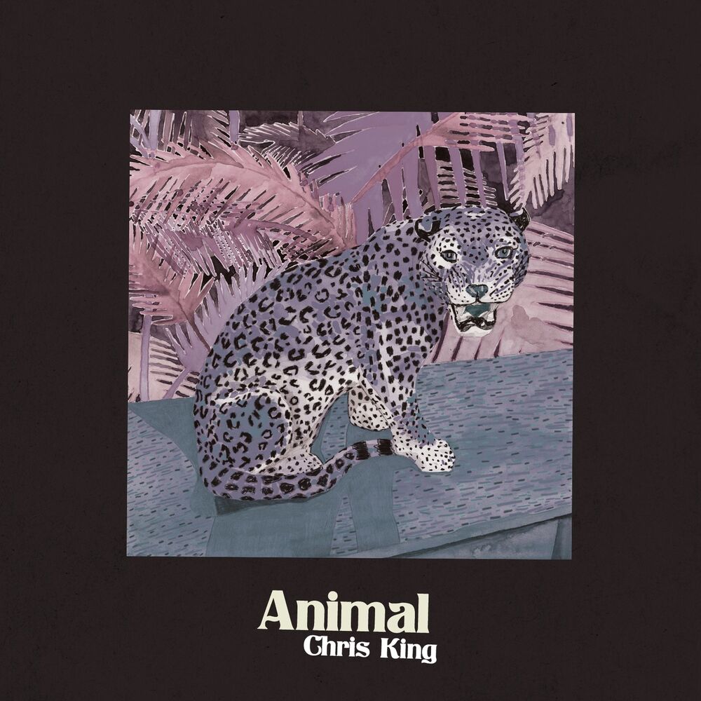 Picture of Animal