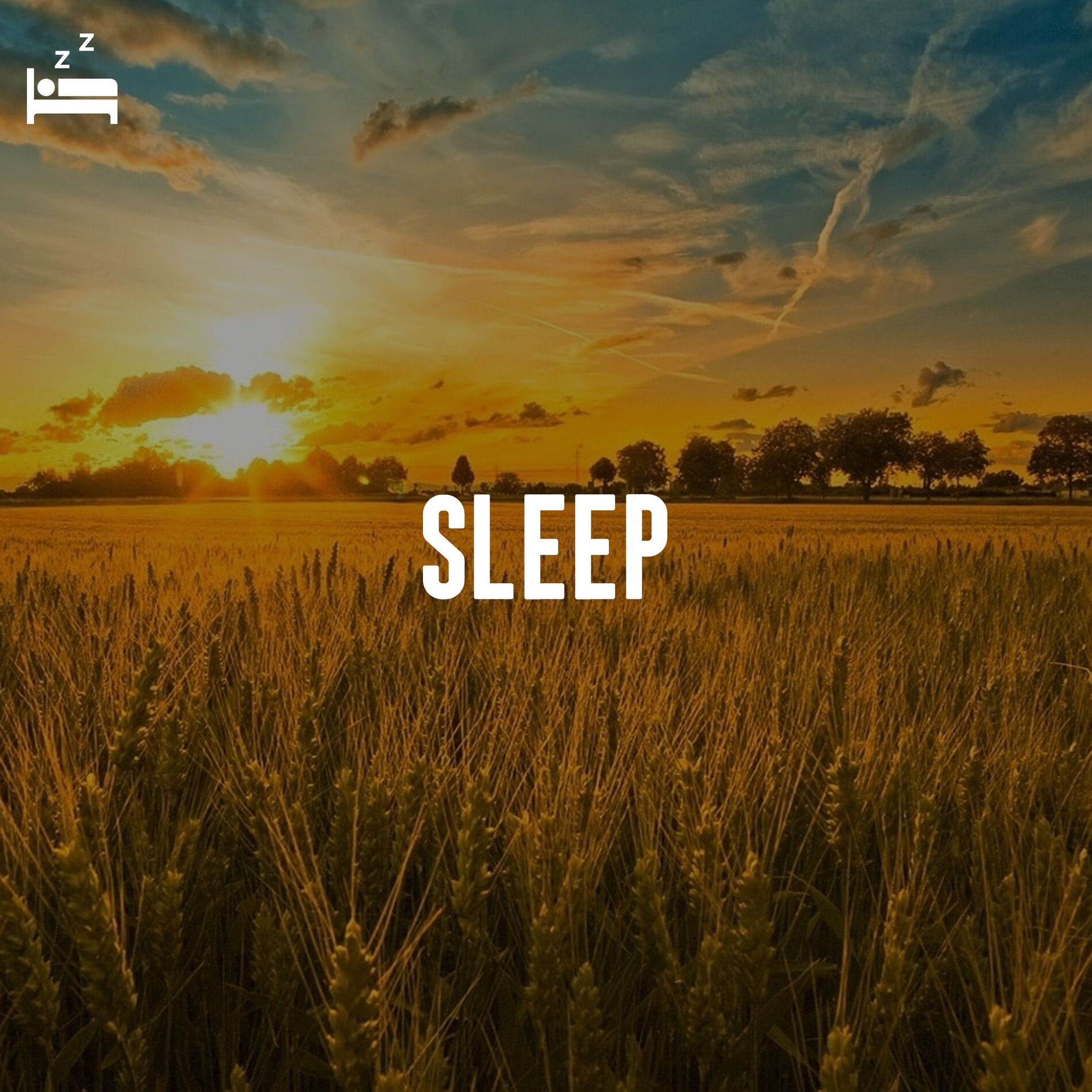 Album cover of Sleep