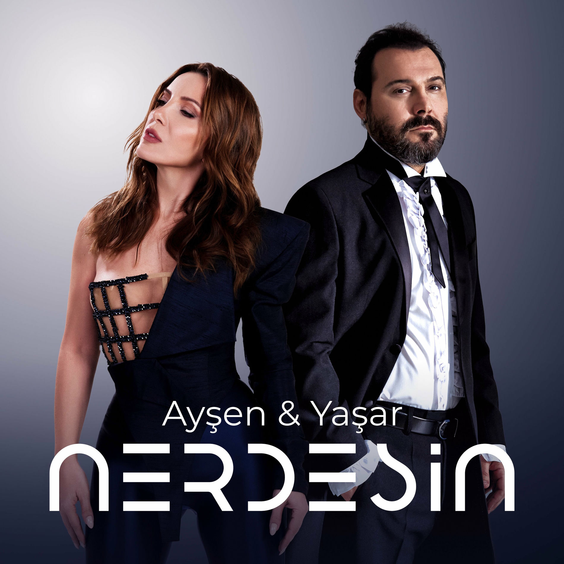 Album cover of Nerdesin