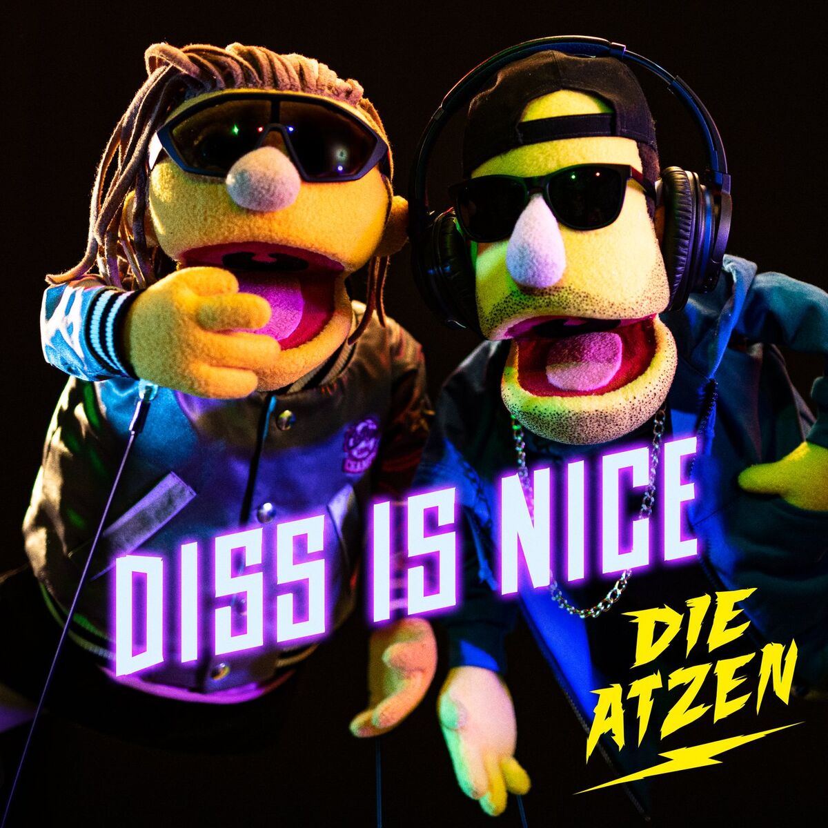 Album cover of Diss Is Nice