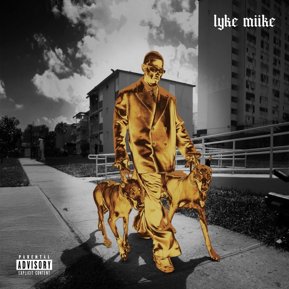 Picture of LYKE MIIKE