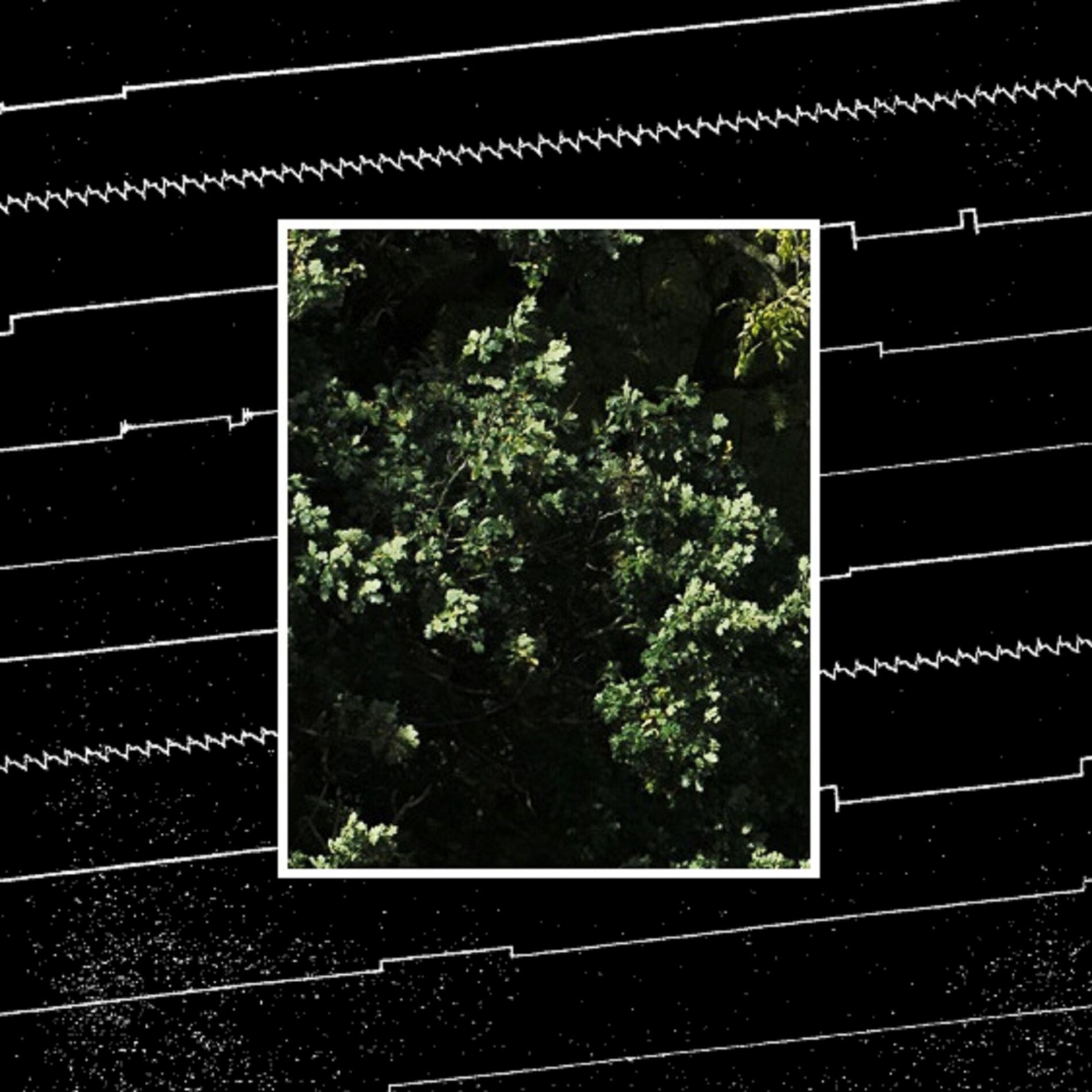 Album cover of Brainchild