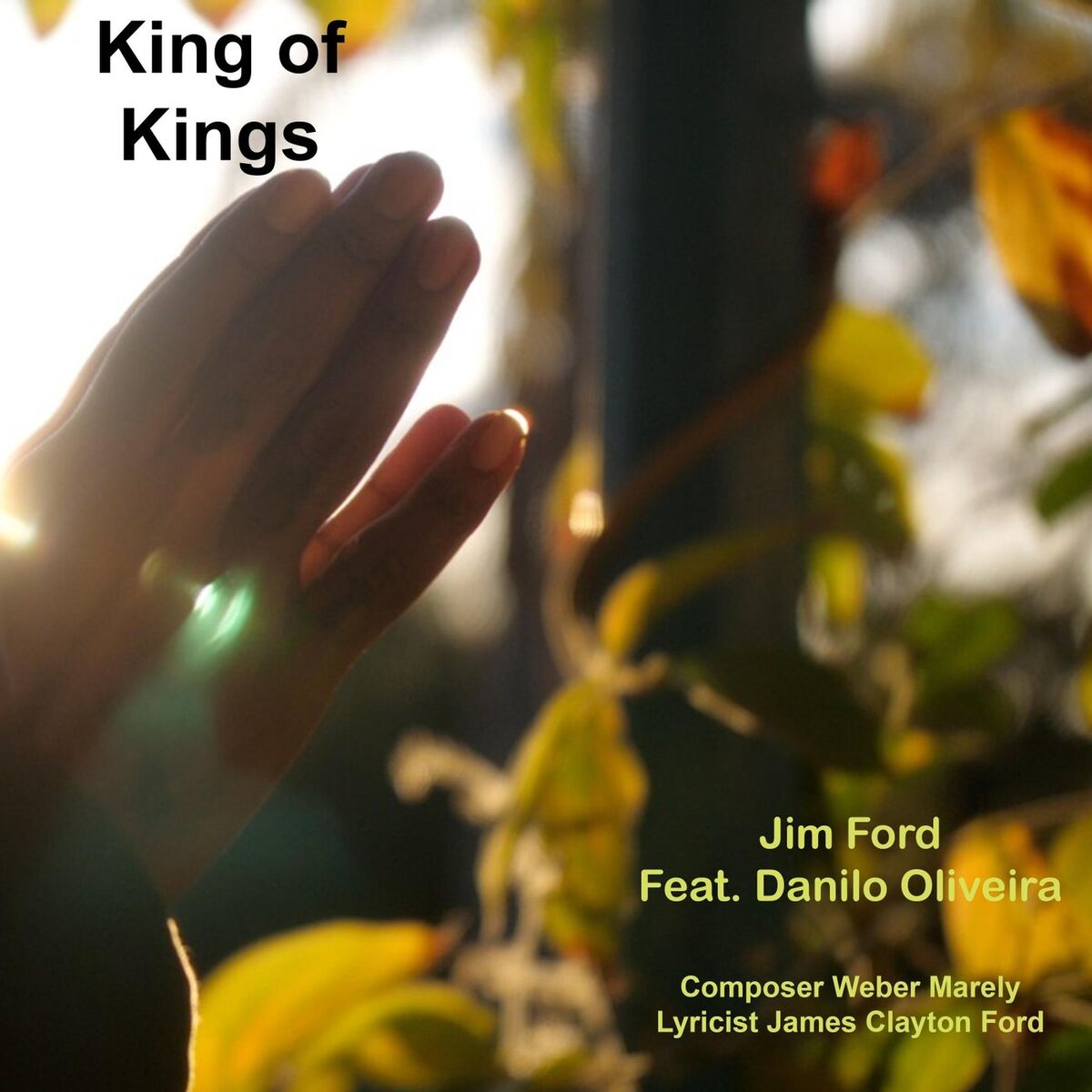 Album cover of King of Kings