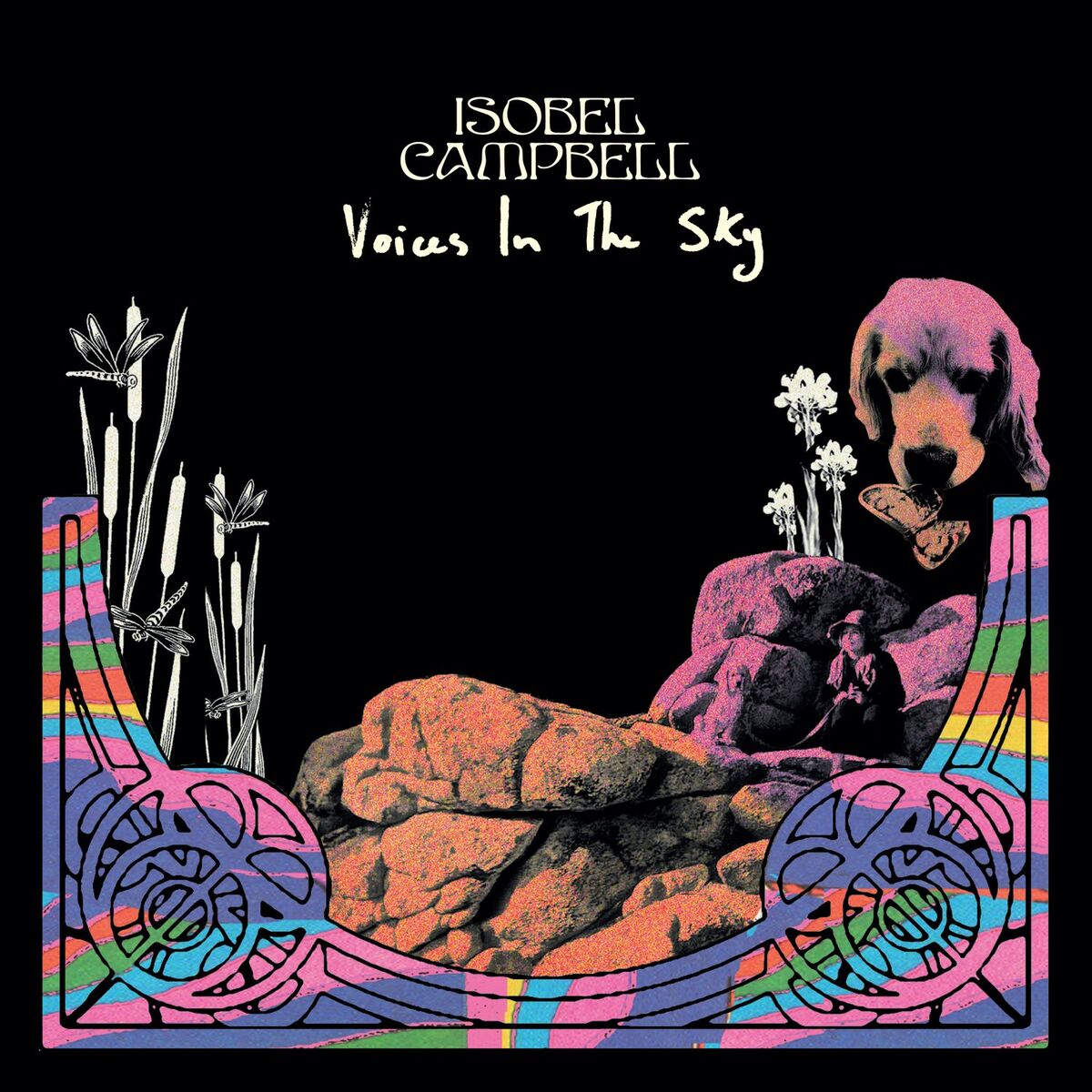 Album cover of Voices In The Sky