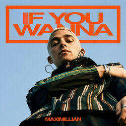 Cover of If You Wanna