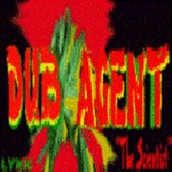 Cover of Dub Healing