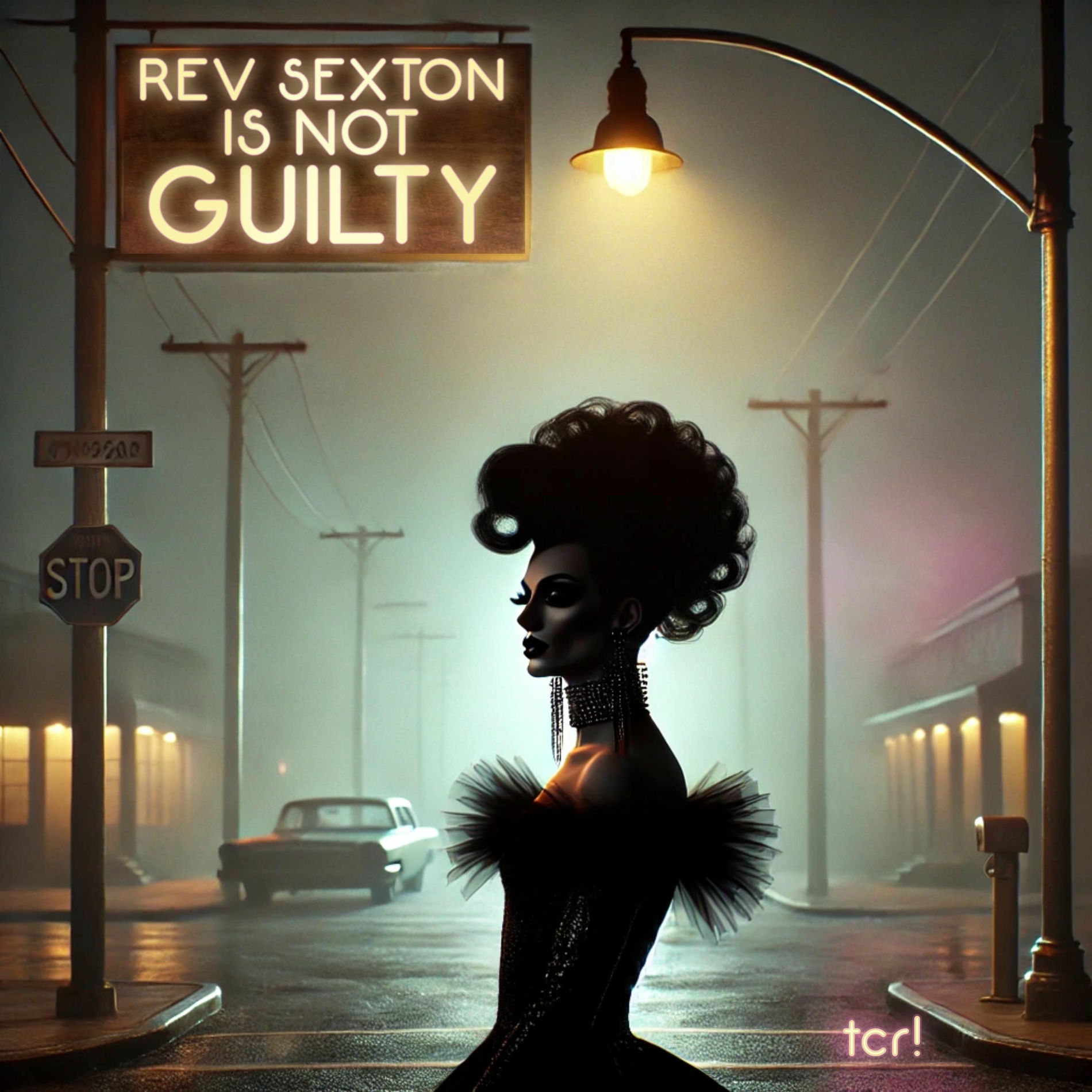 Album cover of Rev Sexton is not guilty