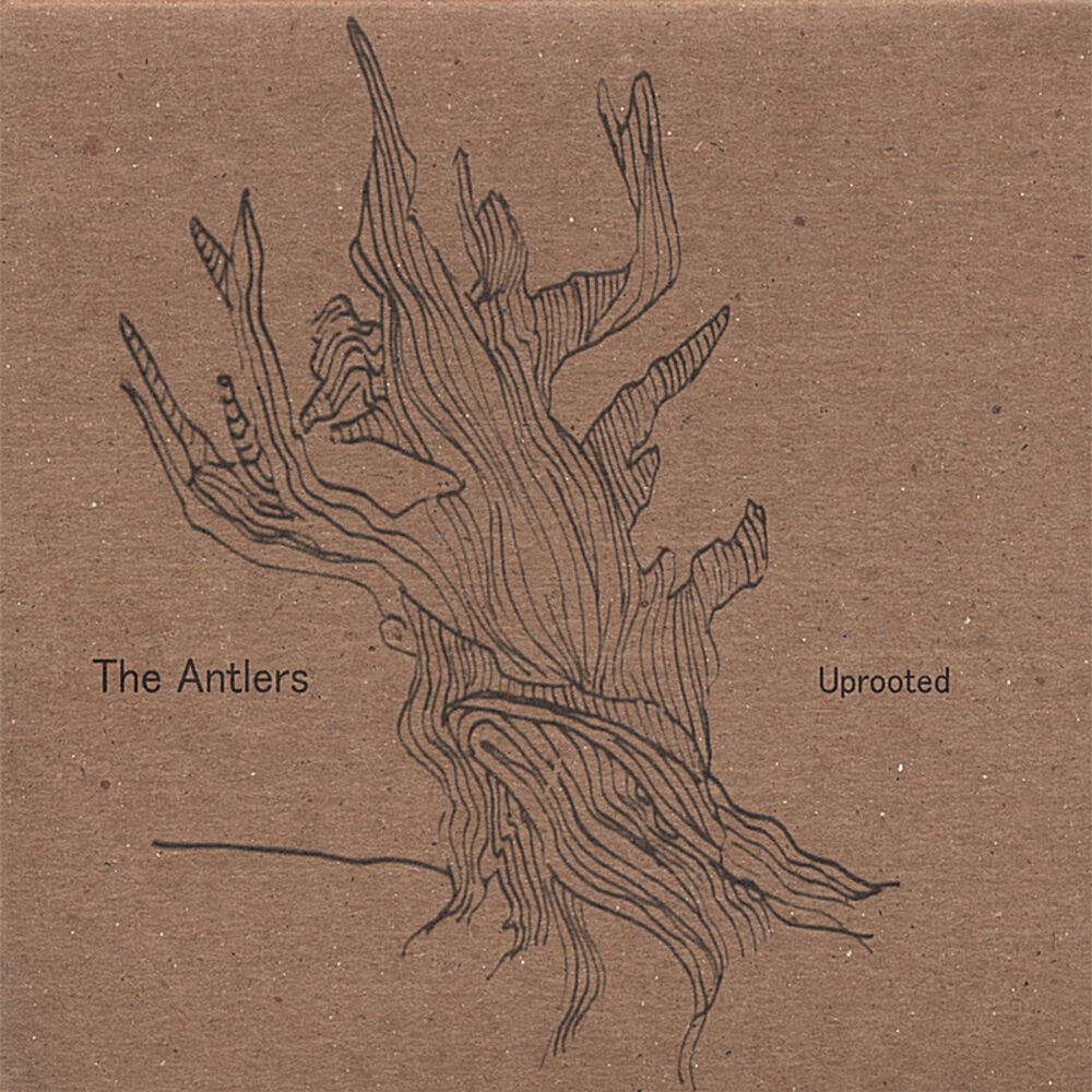 Picture of Uprooted