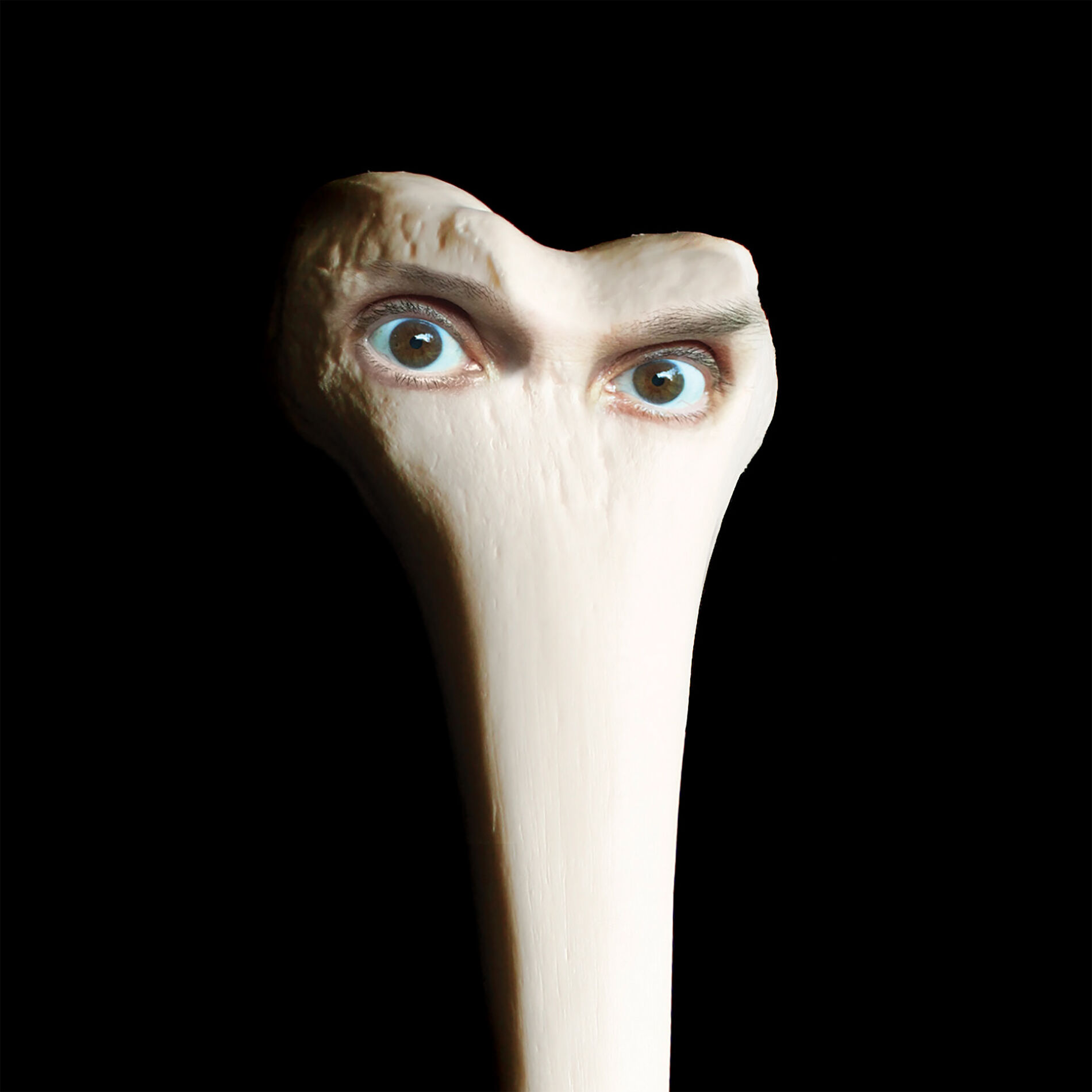 Album cover of Halo